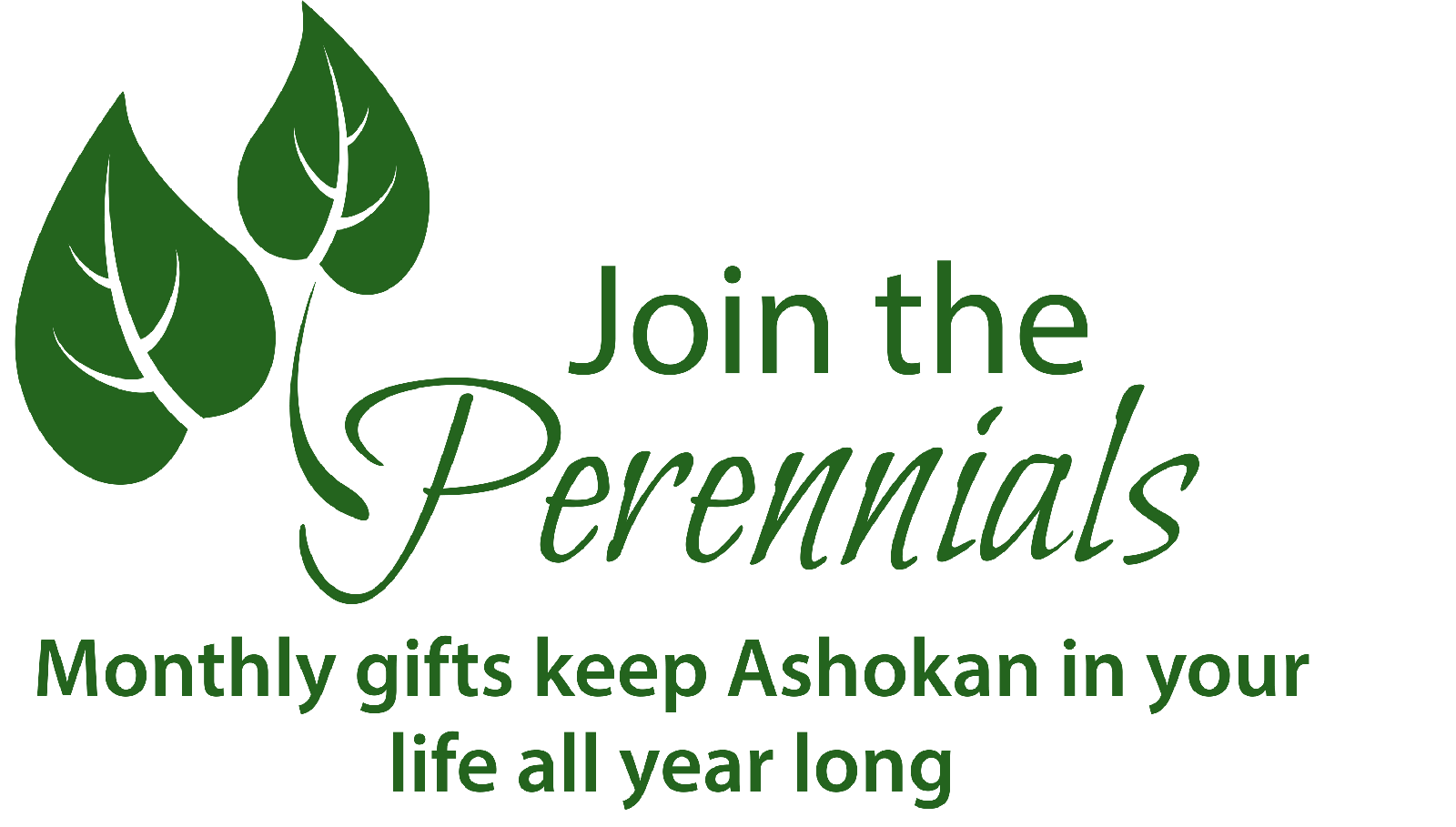 Ashokan Perennials Logo